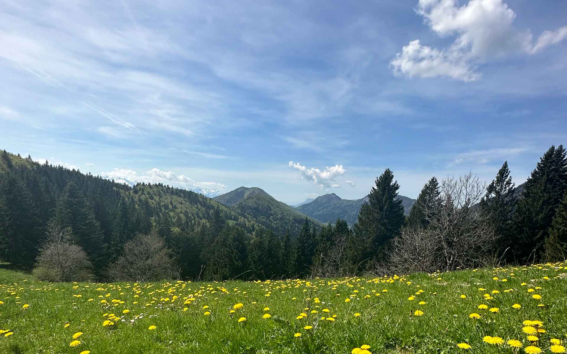 Hôtel auberge aillon ailleurs en Savoie