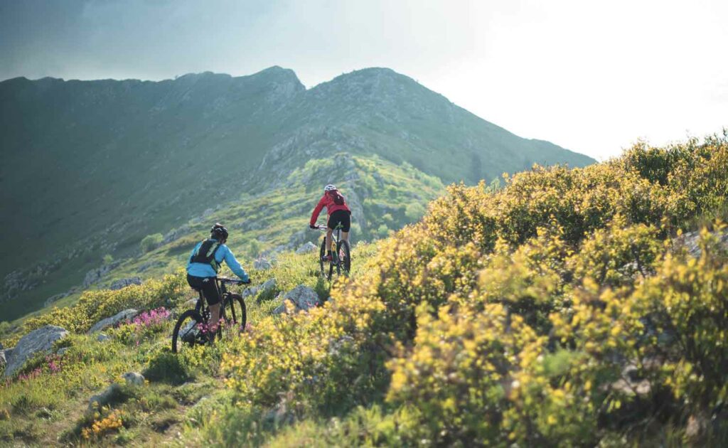 activité VTT dans les Bauges